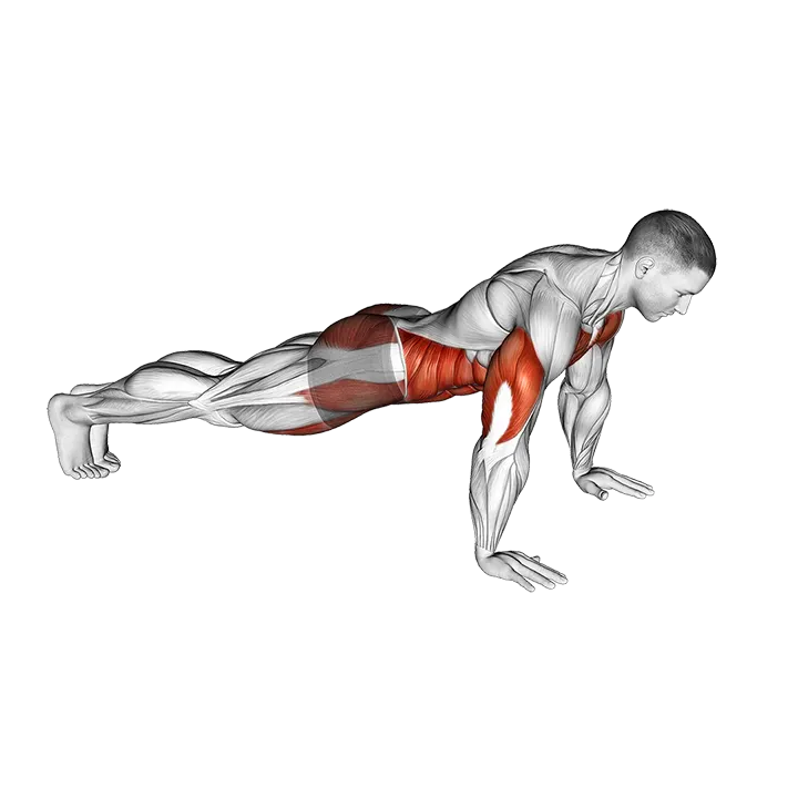 Push up to Knee Tap exercise animation (Male)