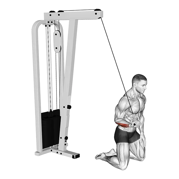 Cable One Arm Wrist Curl exercise animation (Männlich)