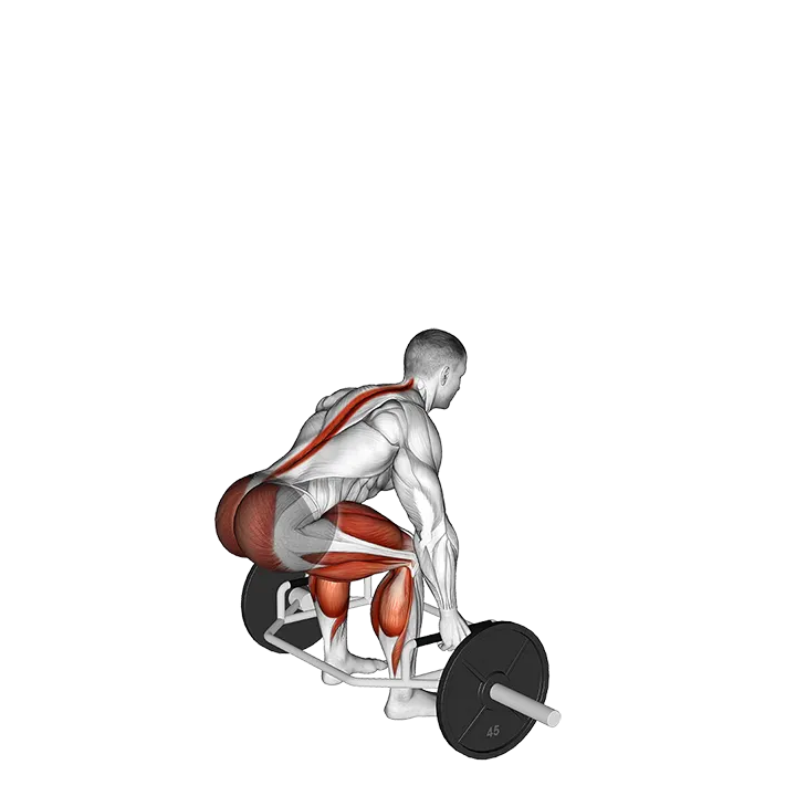 Trap Bar Jump Squat exercise animation (Male)