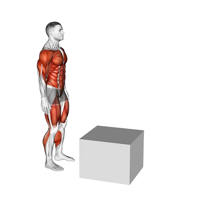 Jump Pistol Squat Box exercise animation (Male)
