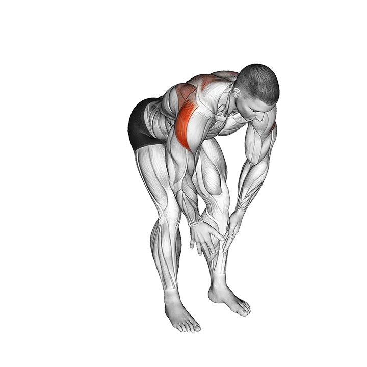 Bodyweight Bent Over Rear Delt Fly exercise animation (Male)