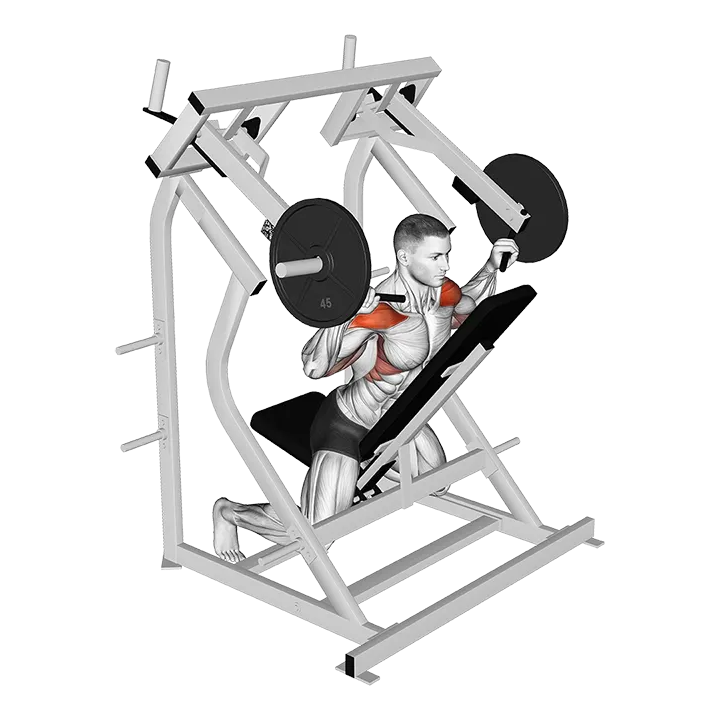 Lever Reverse Shoulder Press (plate loaded) exercise animation (Male)
