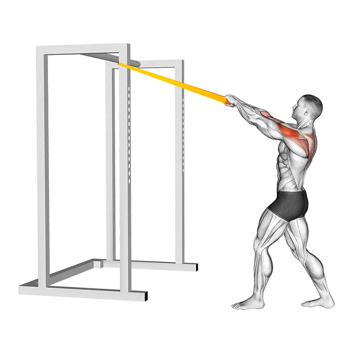 Resistance Band Rear Delt Row exercise animation (Male)