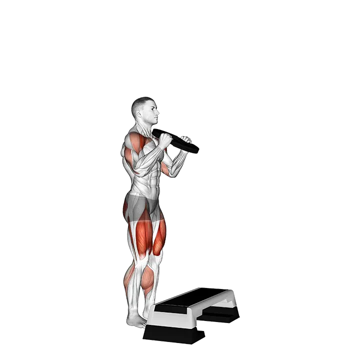 Weighted Overhead Press Step Up exercise animation (Male)