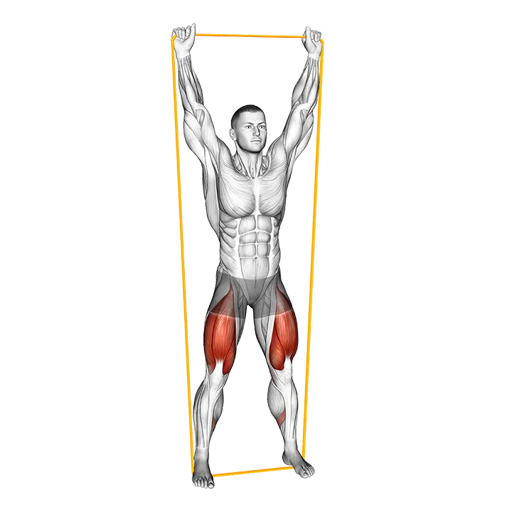 Resistance Band Overhead Squat exercise animation (Male)