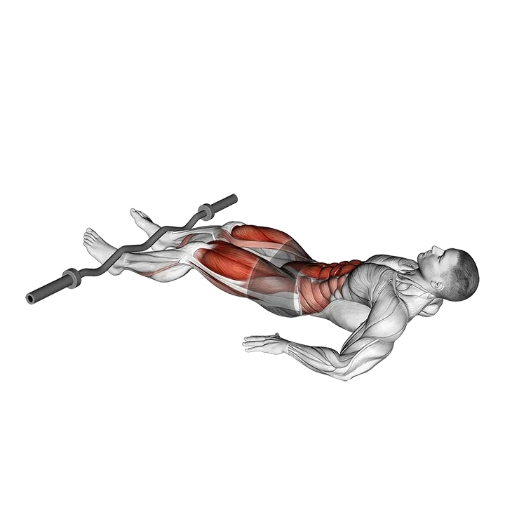 EZ-Bar Reverse Crunch exercise animation (Hombre)