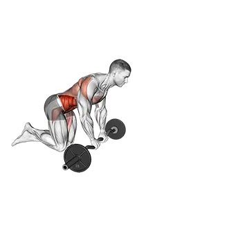 EZ-Bar Knelling Rollout