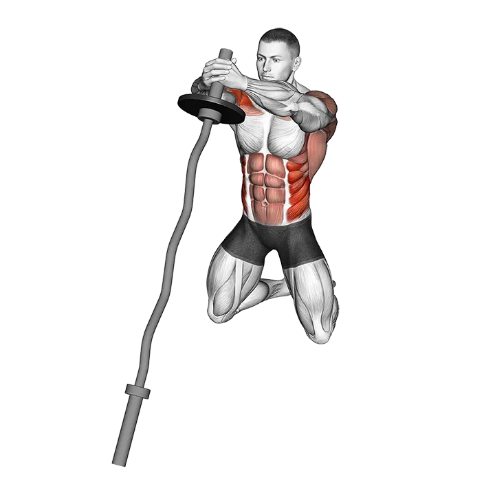 EZ-Bar Up-Down Twist exercise animation (Male)