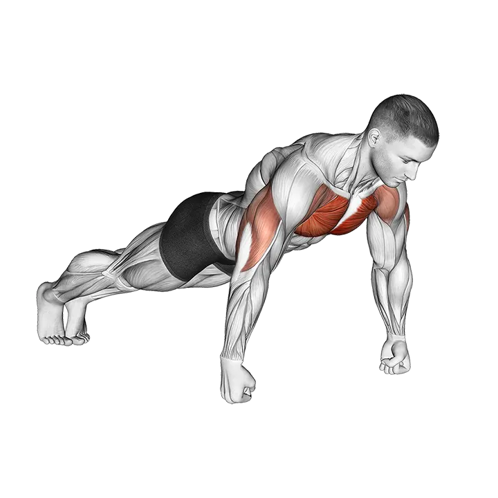 Knuckle Push-Up exercise animation (Male)