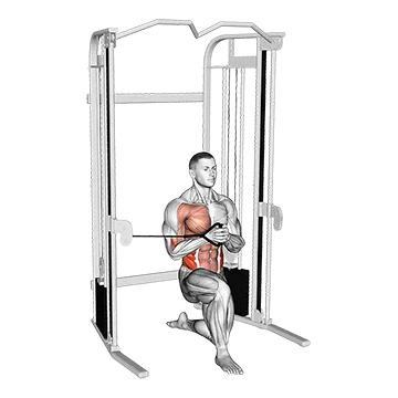 Cable Half Kneeling Pallof Press