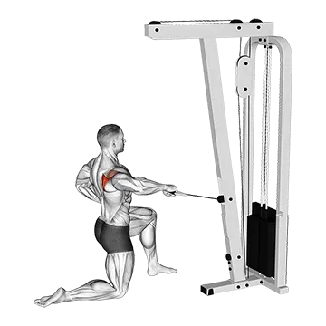 Cable Half Kneeling External Rotation