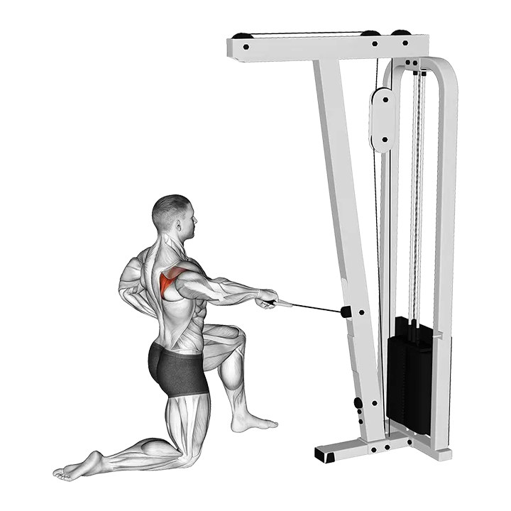 Cable Half Kneeling External Rotation exercise animation (Male)