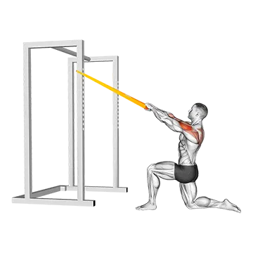 Resistance Band Half Kneeling Face Pull