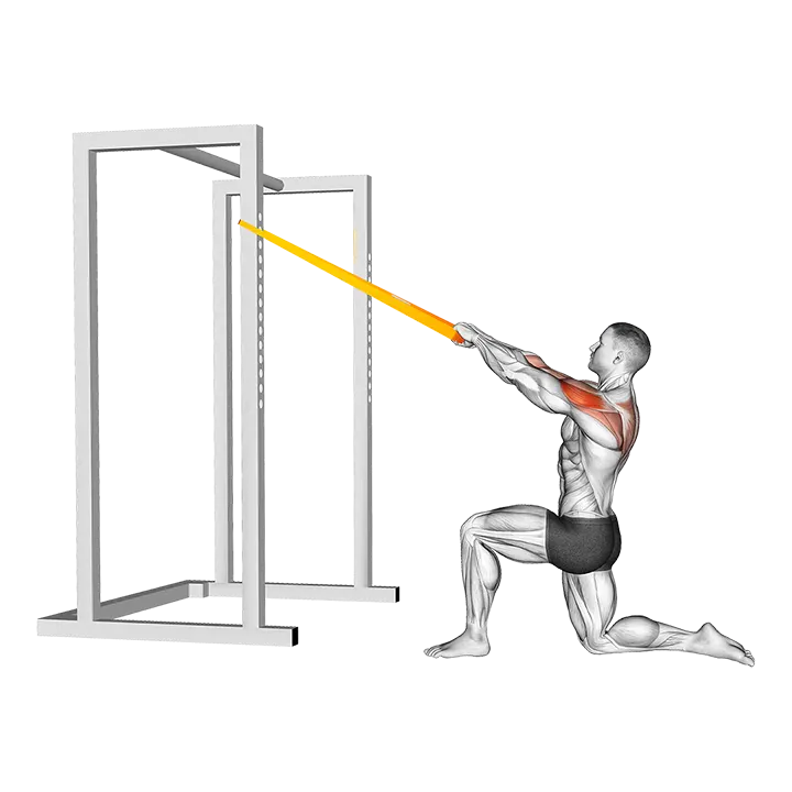 Resistance Band Half Kneeling Face Pull exercise animation (Männlich)