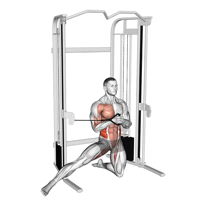 Cable Half Kneeling Adductor Pallof Press exercise animation (Male)