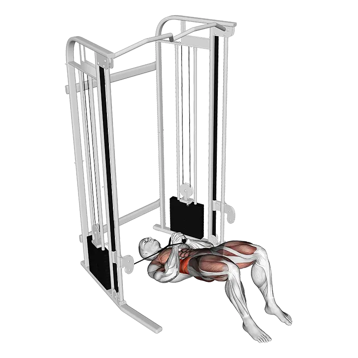 Cable Pallof Press with Glute Bridge exercise animation (Male)