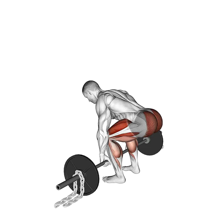 Barbell Deadlift against Chains exercise animation (Male)