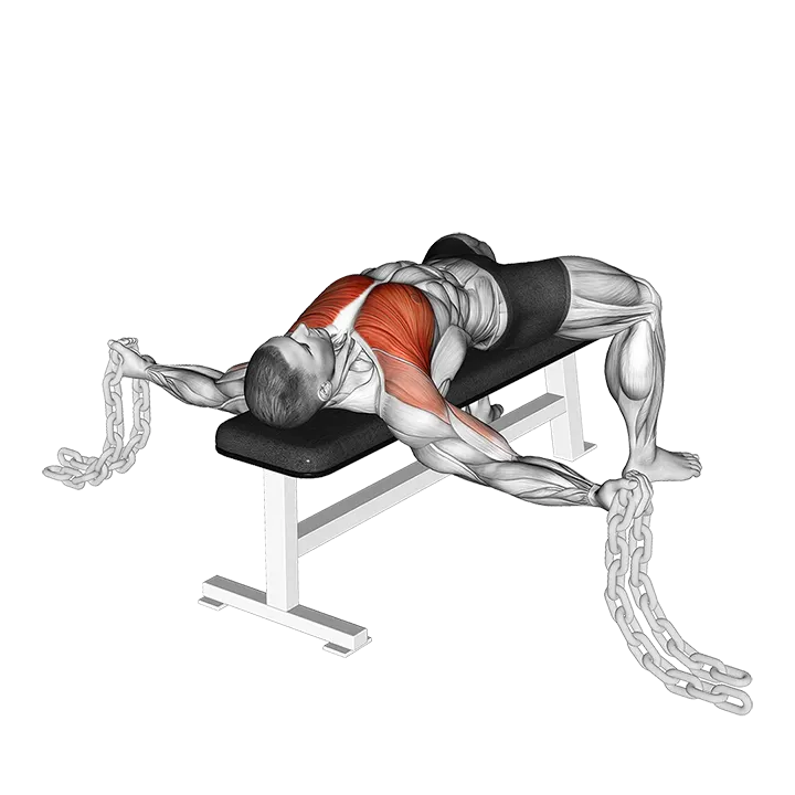 Fly agains Chains exercise animation (Male)