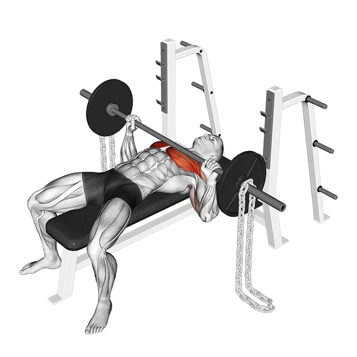 Barbell Bench Press against Chains exercise animation (Male)