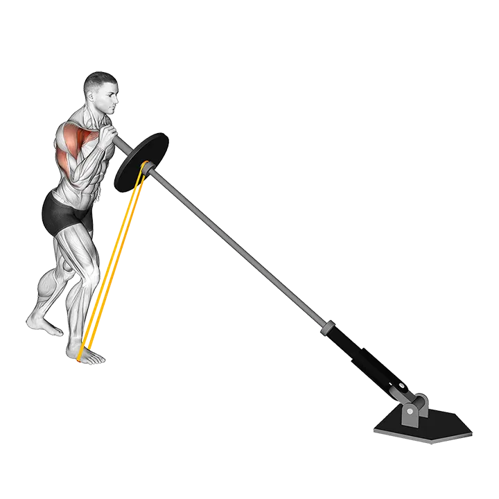 Landmine Resistance Band One Arm Shoulder Press exercise animation (Männlich)