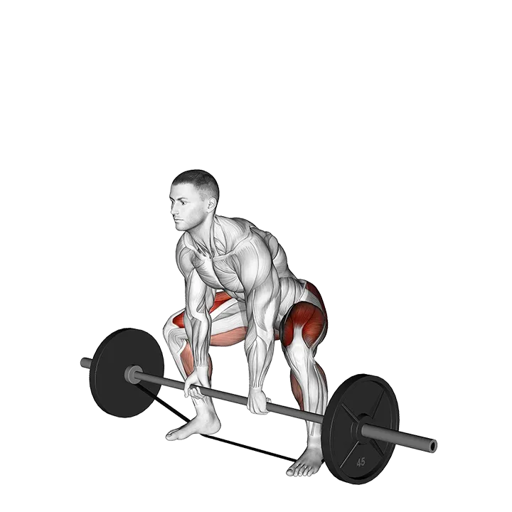 Barbell Banded Sumo Deadlift exercise animation (Male)