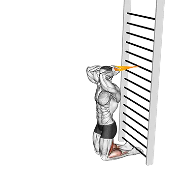 Resistance Band Assisted Nordic Hamstring Curl