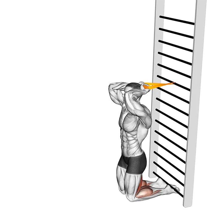 Resistance Band Assisted Nordic Hamstring Curl exercise animation (Male)