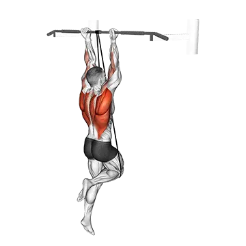 Band Assisted Chin-Up (From Knee)