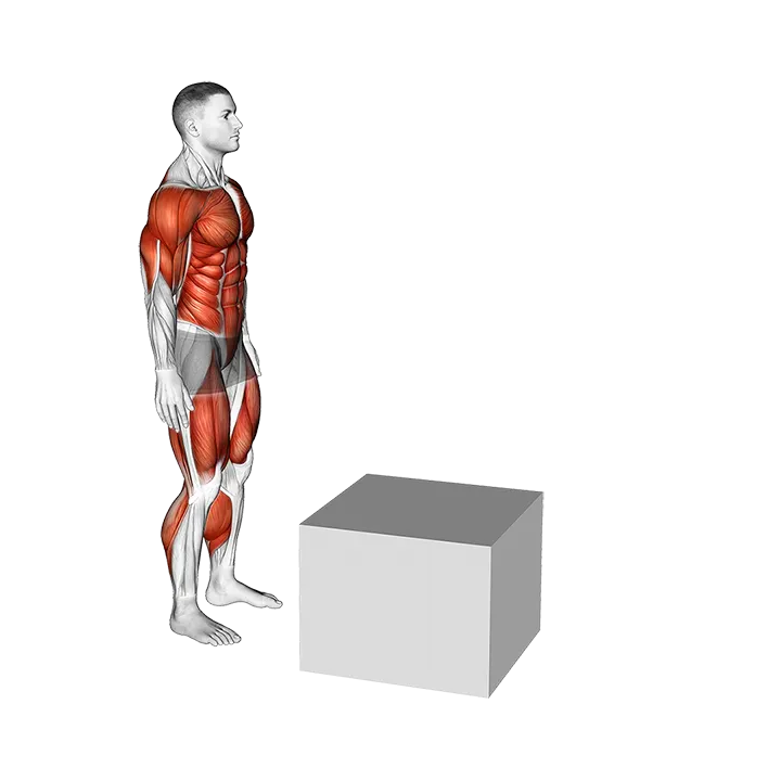 2 to 1 Jump Box exercise animation (Male)
