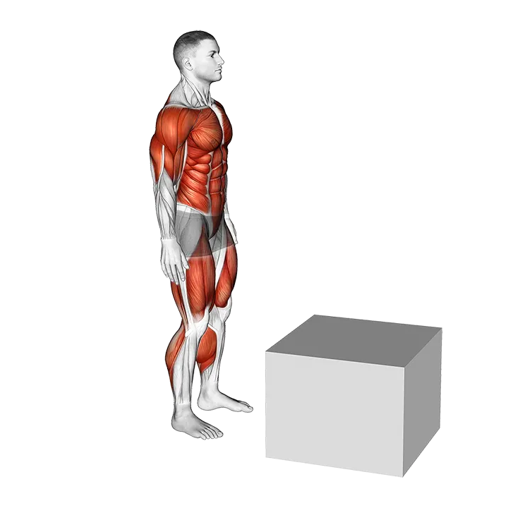 1 to 2 Jump Box exercise animation (Male)