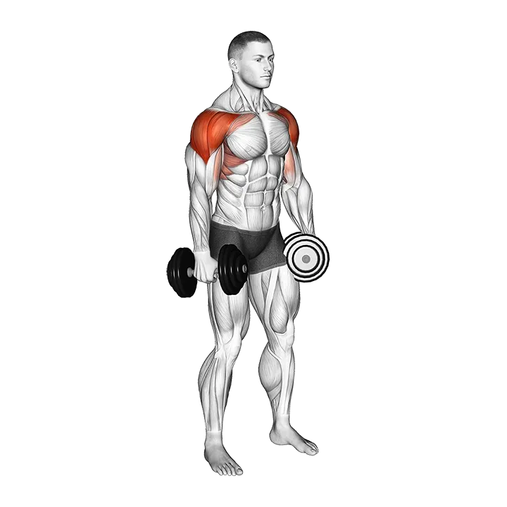 Dumbbell 4 Ways Lateral Raise exercise animation (Male)