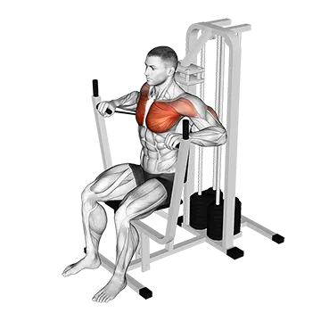 Lever Banded Chest Press