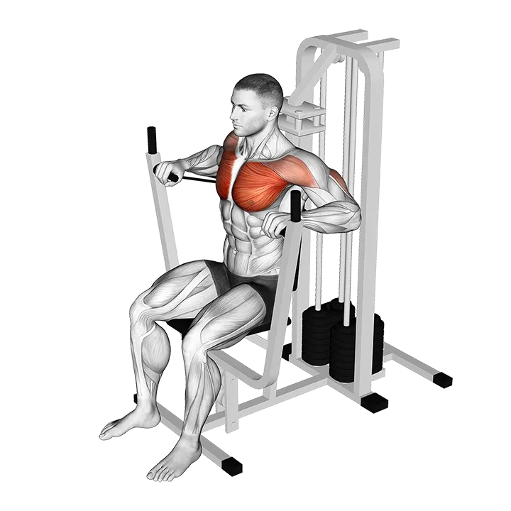 Lever Banded Chest Press exercise animation (Male)