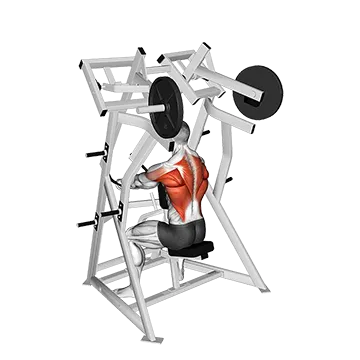 Lever Low Row (plate loaded)