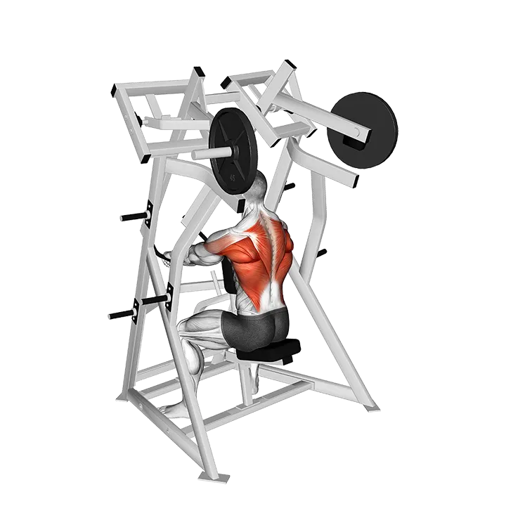Lever Low Row (plate loaded) exercise animation (Male)