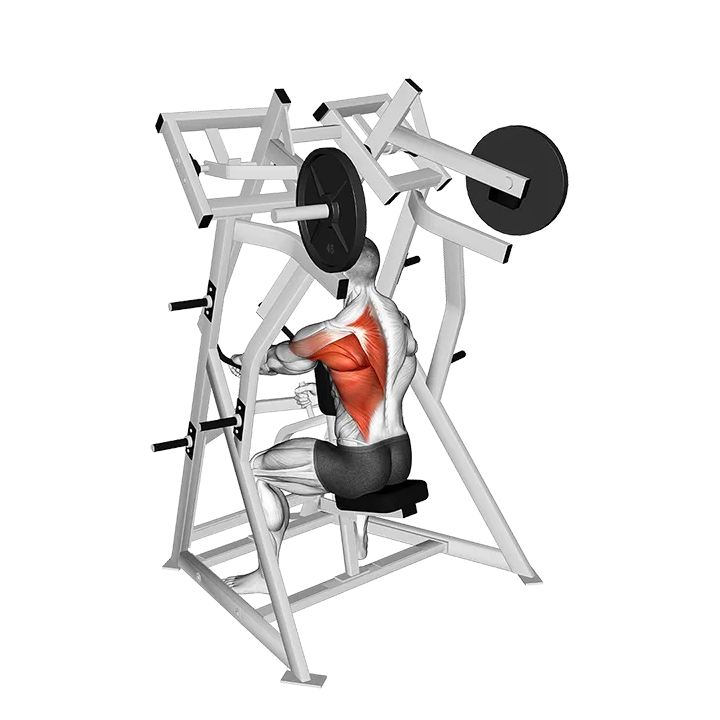 Lever One Arm Low Row (plate loaded) exercise animation (Male)