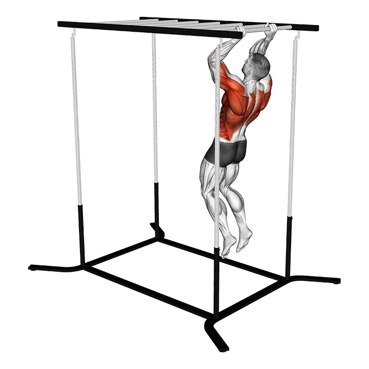 Climbing Monkey Bars exercise animation (Male)