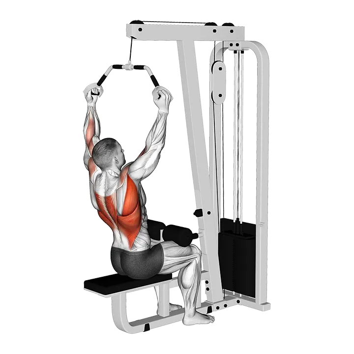Cable Wide Neutral Grip PullDown exercise animation (Male)