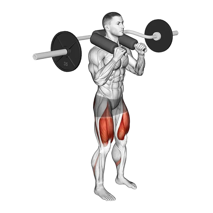 Safety Bar Front Squat exercise animation (Male)
