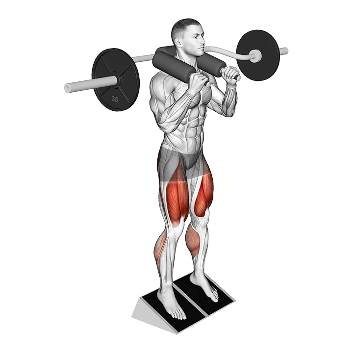 Safety Bar Elevated Heel Squat exercise animation (Male)