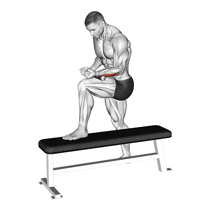 Tiger Tail Forearm exercise animation (Male)