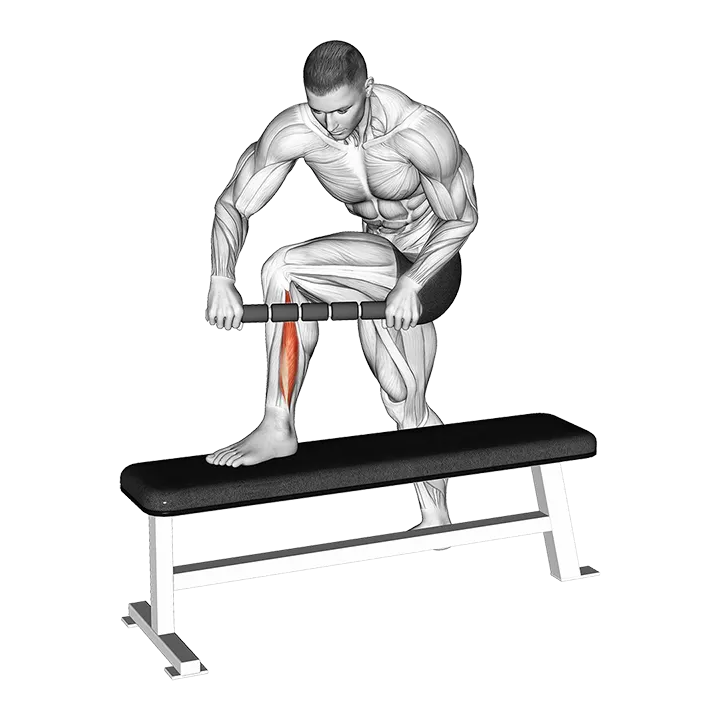 Tiger Tail Peroneal exercise animation (Male)