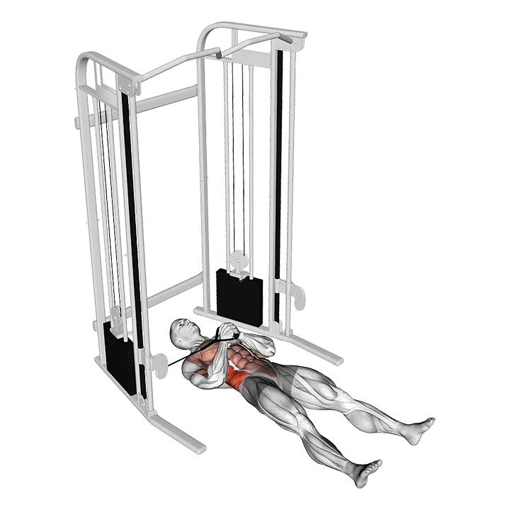 Cable Lying Pallof Press exercise animation (Male)