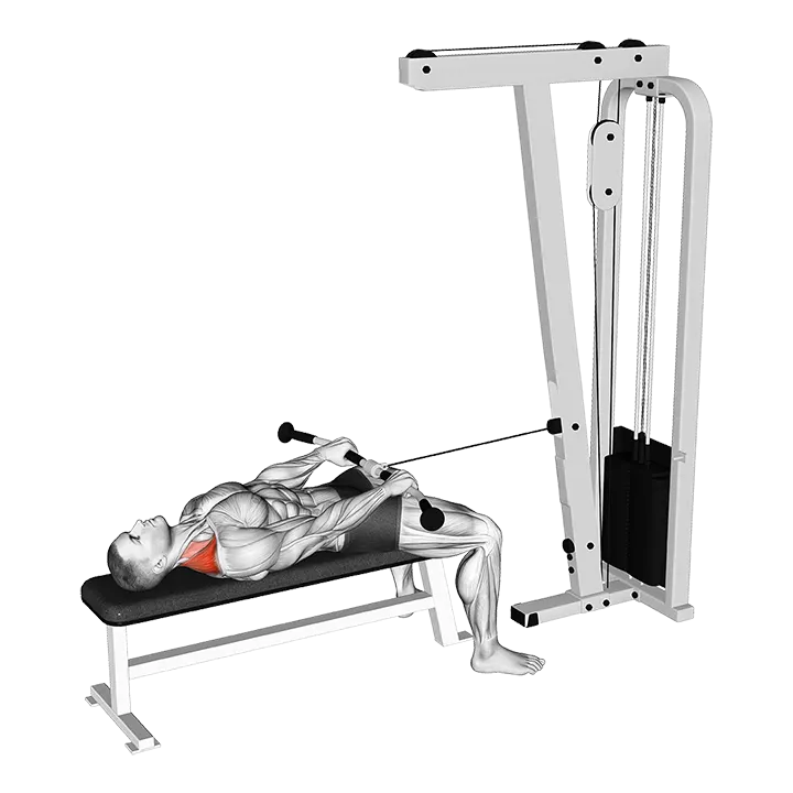 Cable Lying Shrug exercise animation (Male)