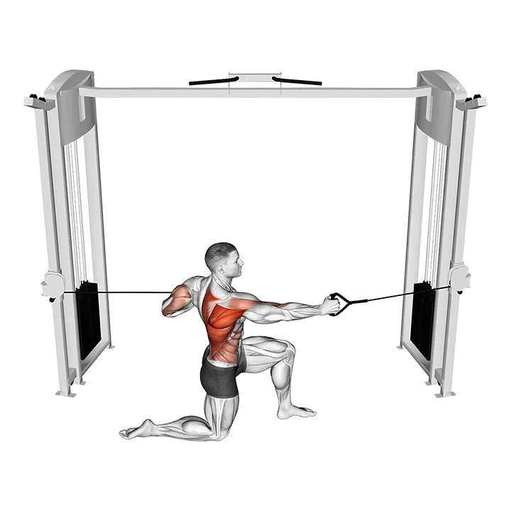 Cable Half Kneeling Push Pull exercise animation (Male)