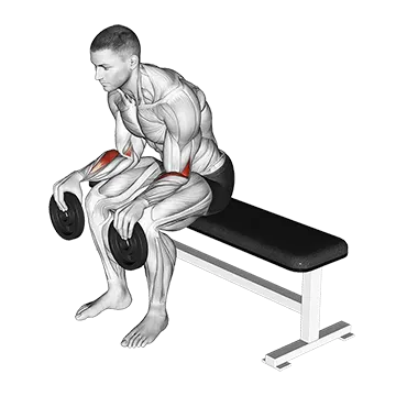 Weighted Seated Supination