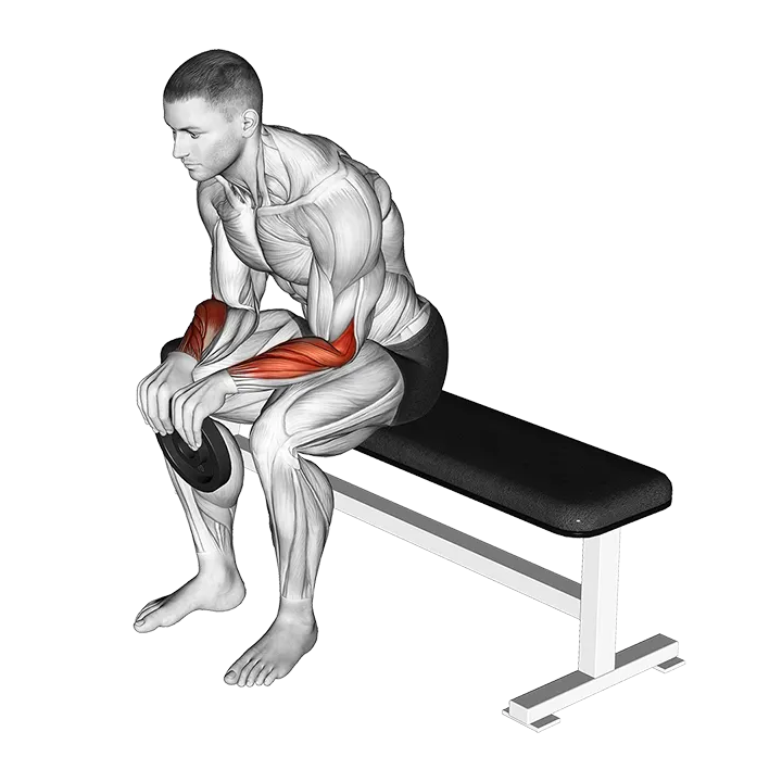 Weighted Seated Reverse Wrist Curl exercise animation (Male)