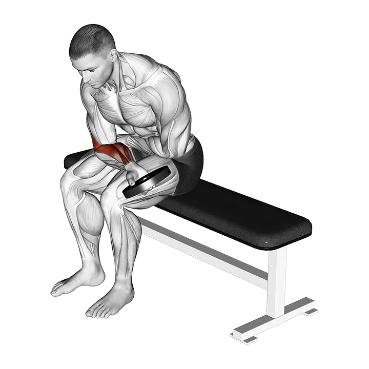 Weighted Seated One Arm Wrist Curl exercise animation (Male)