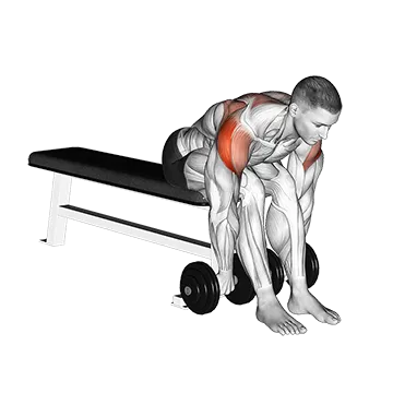 Dumbbell Seated Bent Over Rear Delt Row