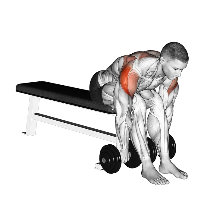 Dumbbell Seated Bent Over Rear Delt Row exercise animation (Male)